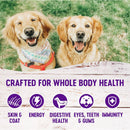 Complete Health Adult Deboned Chicken & Oatmeal Recipe Dry Dog Food