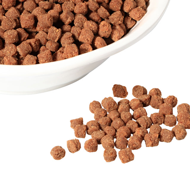 Grain-Free Hypoallergenic Diet Salmon Dry Dog Food