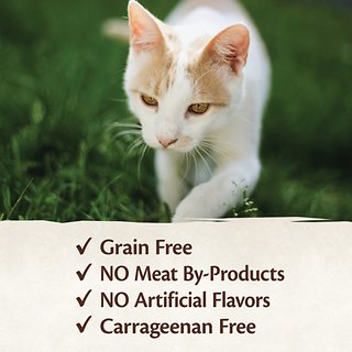 CORE 95% Beef & Chicken Grain-Free Canned Cat Food