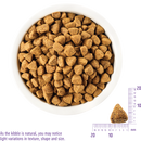 Wellness Complete Health Adult Whitefish & Sweet Potato Recipe Dog Food