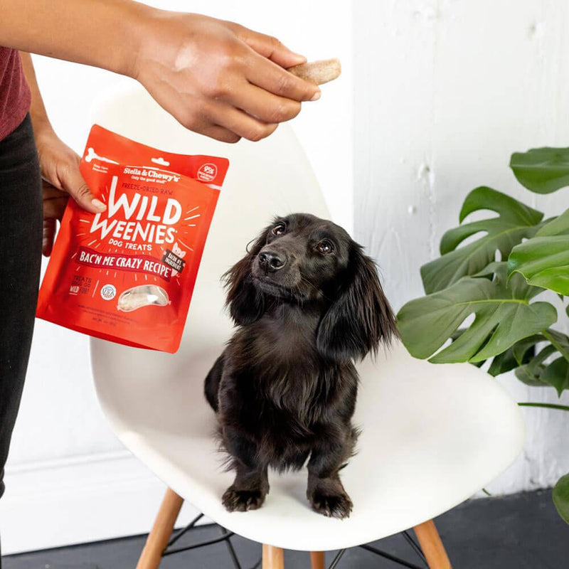 Wild Weenies Bac'n Me Crazy Recipe Freeze-Dried Raw Dog Treats