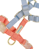 Fourrure Blue Orange Harness For Pets