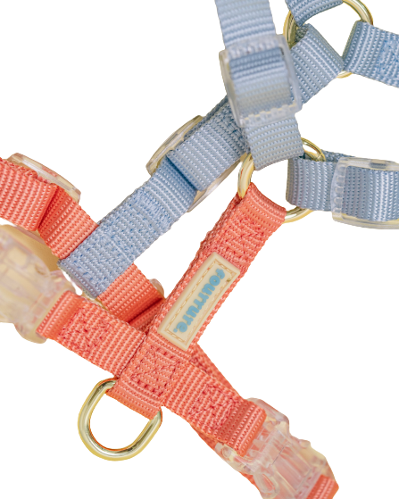 Fourrure Blue Orange Harness For Pets