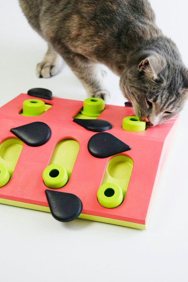 Petstages Melon Madness Puzzle & Play Cat Toy