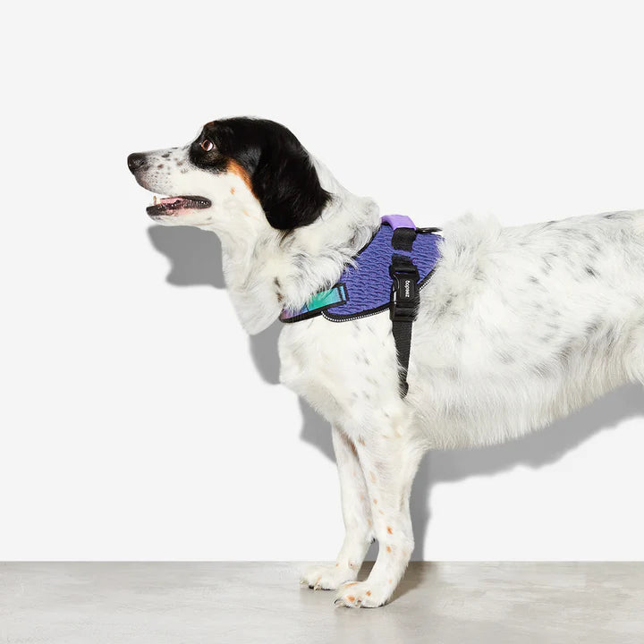 Wicked Fly Harness