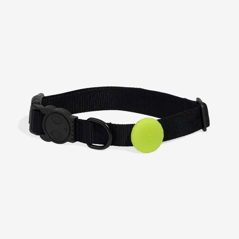 Lime Air Tag Holder for Dog Collar