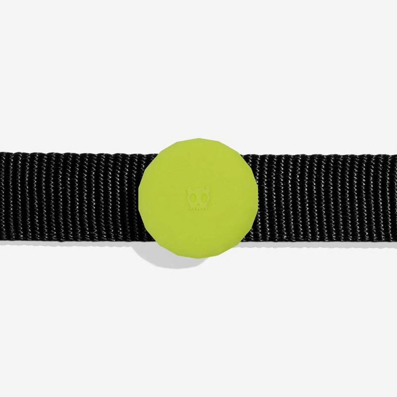 Lime Air Tag Holder for Dog Collar