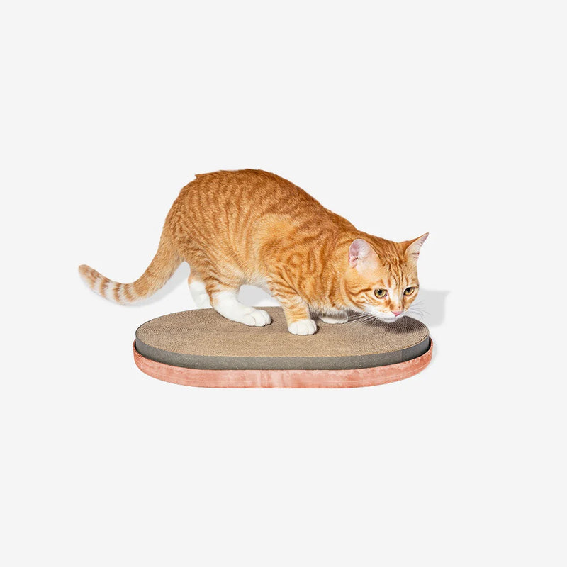 Zee.Cat Citrus Scratcher for Cats