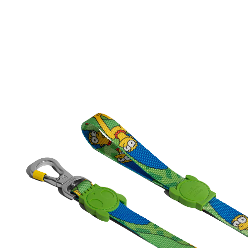 Merge Simpson Leash