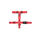 Neon Coral H-Harness