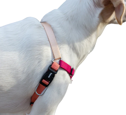 Cinnamon Soft-Walk Harness